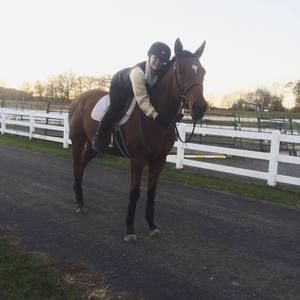 Meet your Posher, Daria